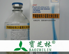 甲磺酸帕珠沙星氯化钠注射液（齐若达）