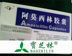 阿莫西林胶囊（长城药业）